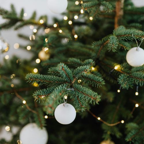 Green Christmas tree branch with white ornaments and warm lights, reflecting a creative winter homeschool rhythm.