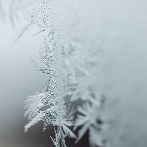 Frost patterns on a cold window — a gentle reminder of slowing your homeschool rhythm.