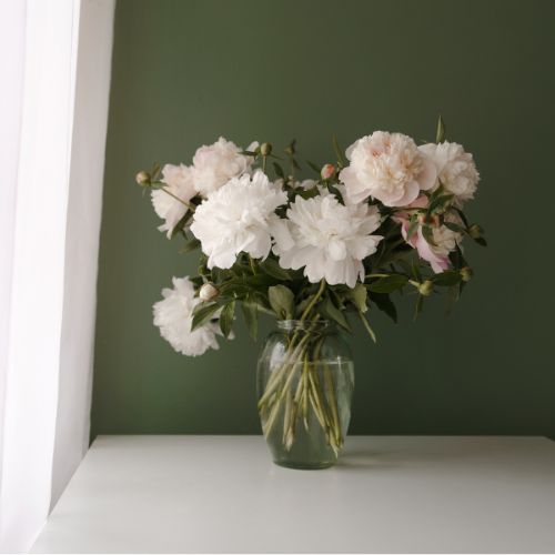 A vase of soft white flowers in quiet light, representing a calm and cultivated approach to reading Pride and Prejudice